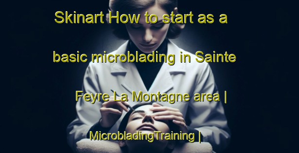 Skinart How to start as a basic microblading in Sainte Feyre La Montagne area | MicrobladingTraining | MicrobladingClasses | SkinartTraining-France